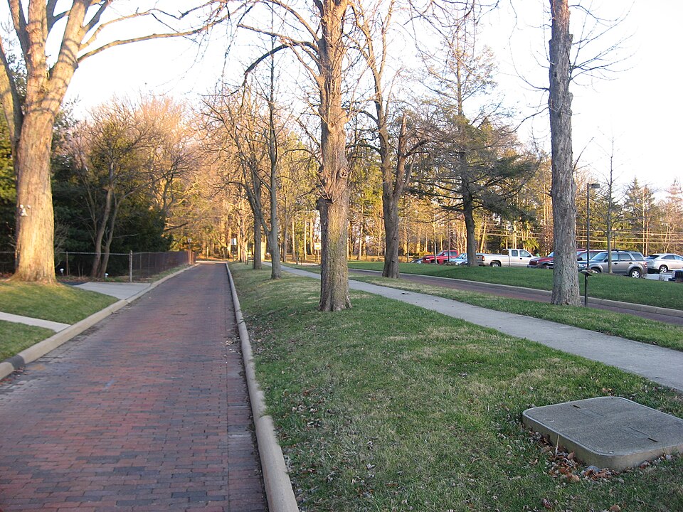 Photograph of Soldiers and McKinley Memorial Parkways