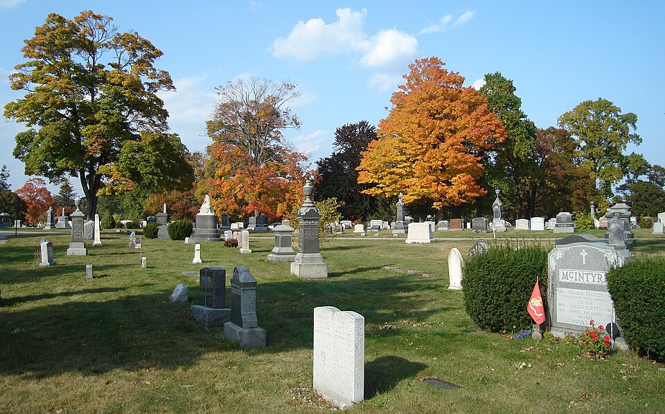 Photograph of Mount Wollaston Cemetery