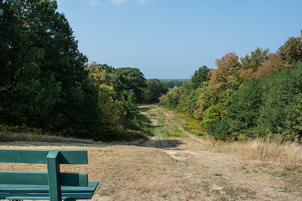 Photograph of Forest Hill Park