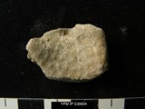 A photograph of the species Monticulipora d'Orbigny, not of this specimen