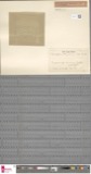 A photograph of the species Microspora stagnorum, not of this specimen