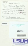 A photograph of the species Panus stipticus, not of this specimen
