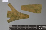 A photograph of the species Cercospora canescens, not of this specimen
