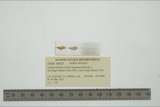 A photograph of the species Galba obrussa, not of this specimen