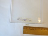 A photograph of the species Pisidium punctiferum, not of this specimen