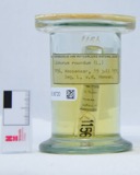A photograph of the species Liobunum Agassiz, not of this specimen