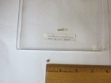 A photograph of the species Euglesa adamsii, not of this specimen
