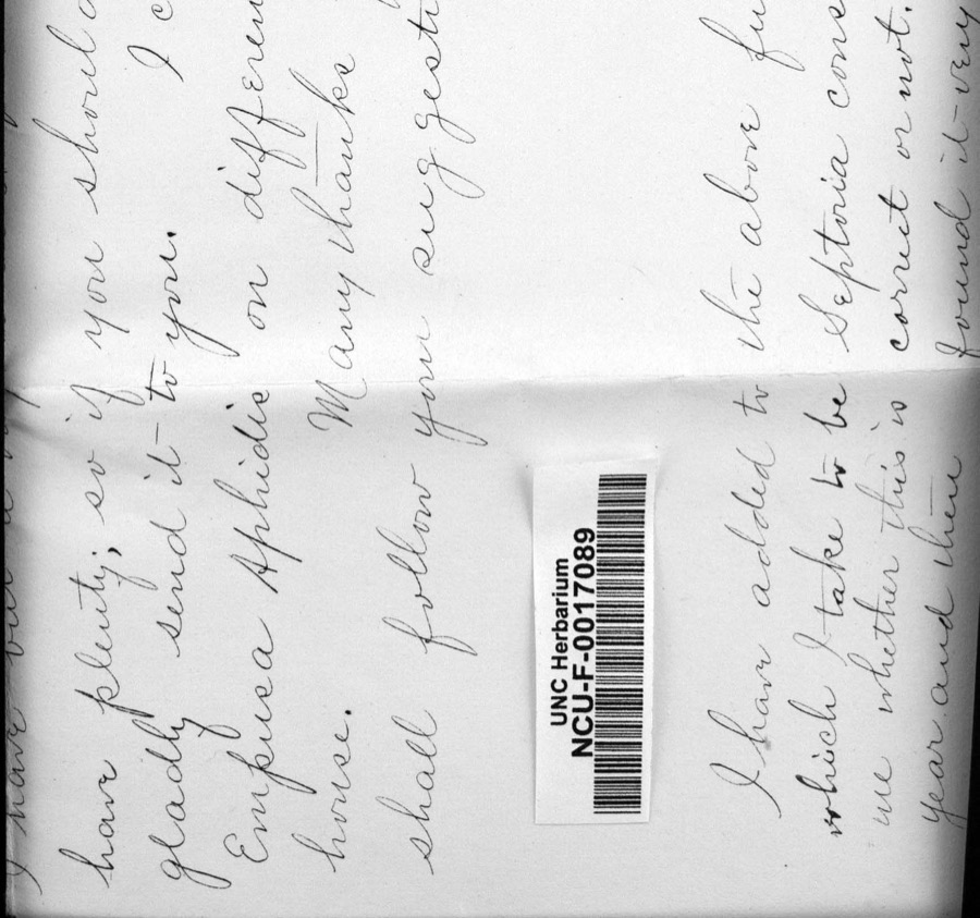 Specimen of Diderma spumarioides (Fr. & Palmquist) Fr., 1829