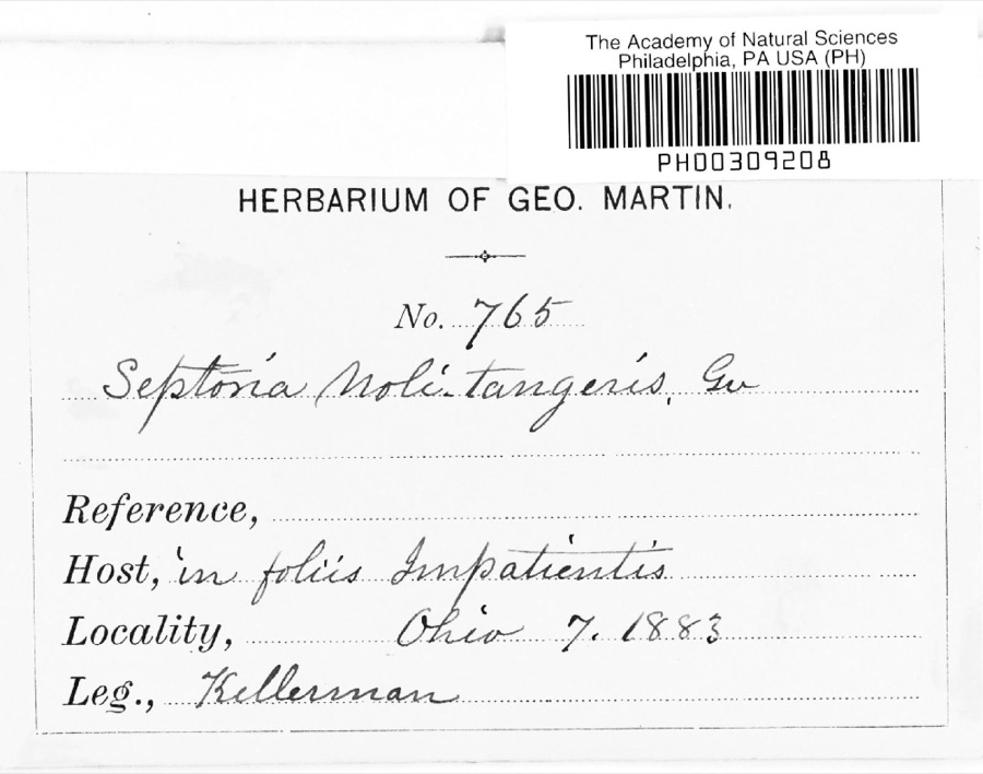 Specimen of Septoria E.M.Fries, 1819