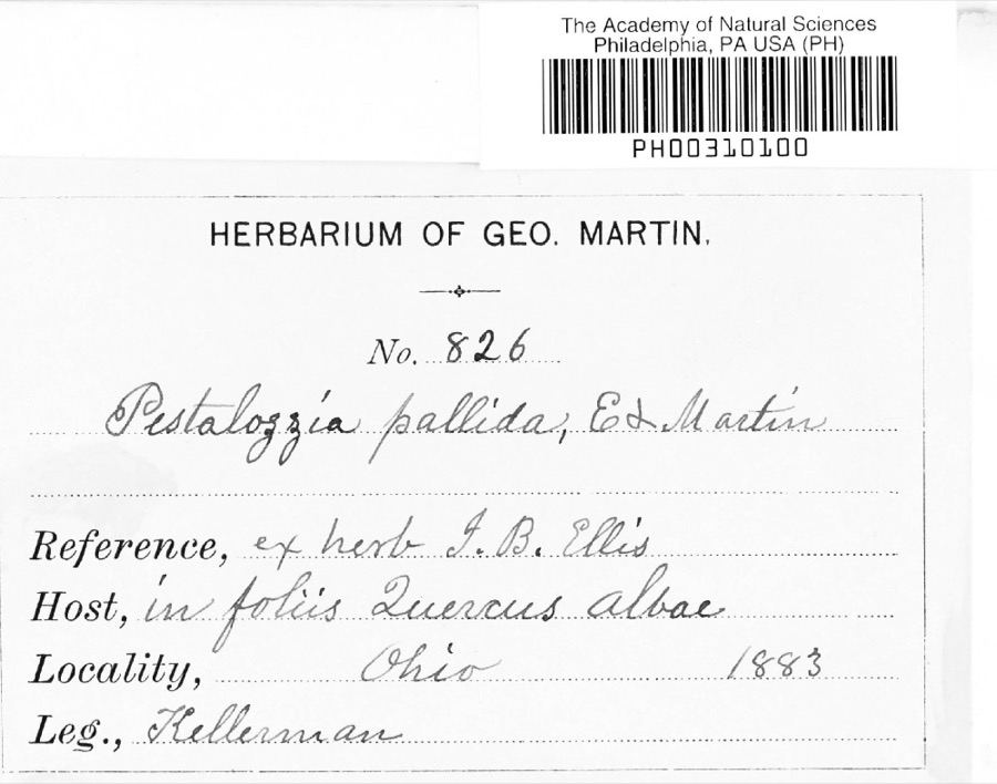 Specimen of Pestalotia De Not., 1841