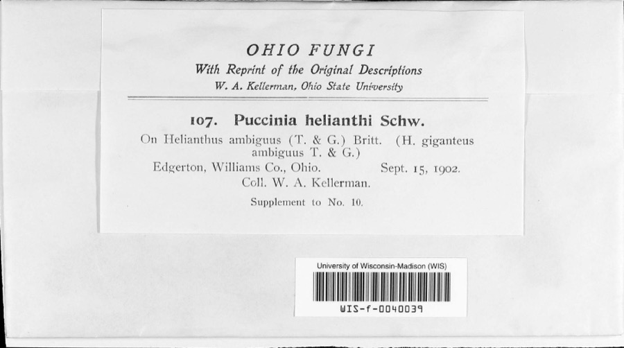 Specimen of Puccinia helianthi Schwein.