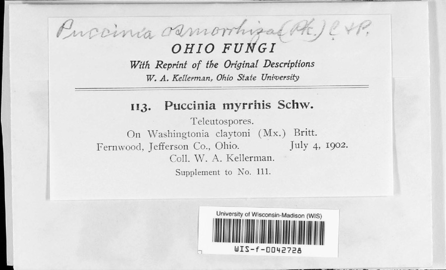 Specimen of Puccinia pimpinellae (F.Strauss) Link