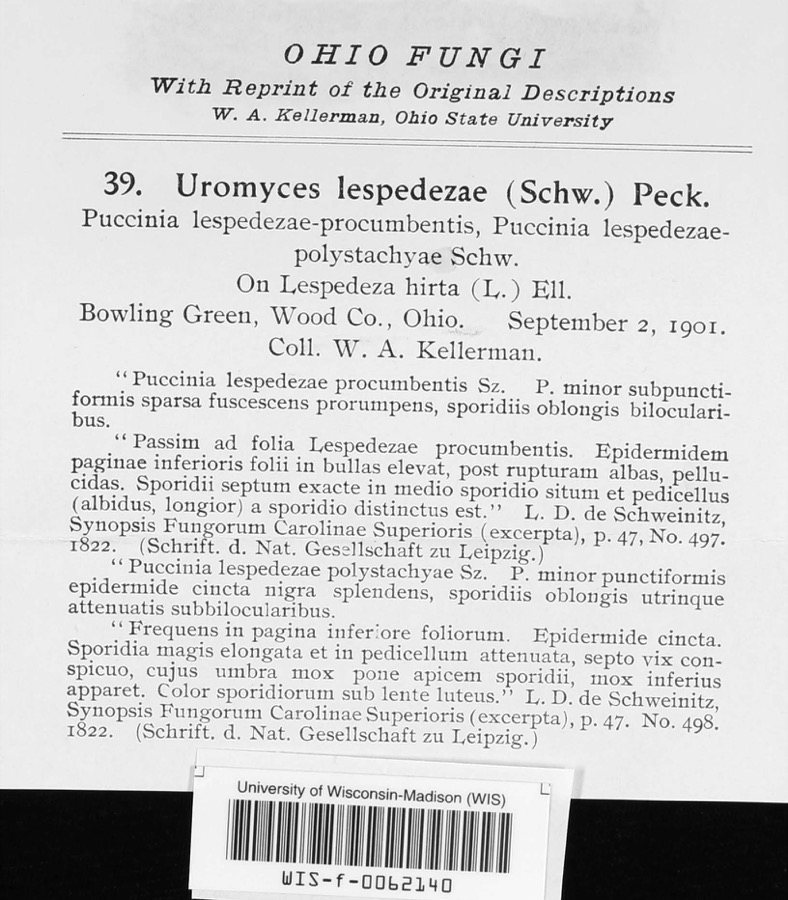 Specimen of Uromyces lespedezae-procumbentis (Schwein.) Lagerh.