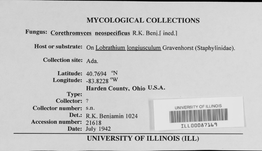 Specimen of 