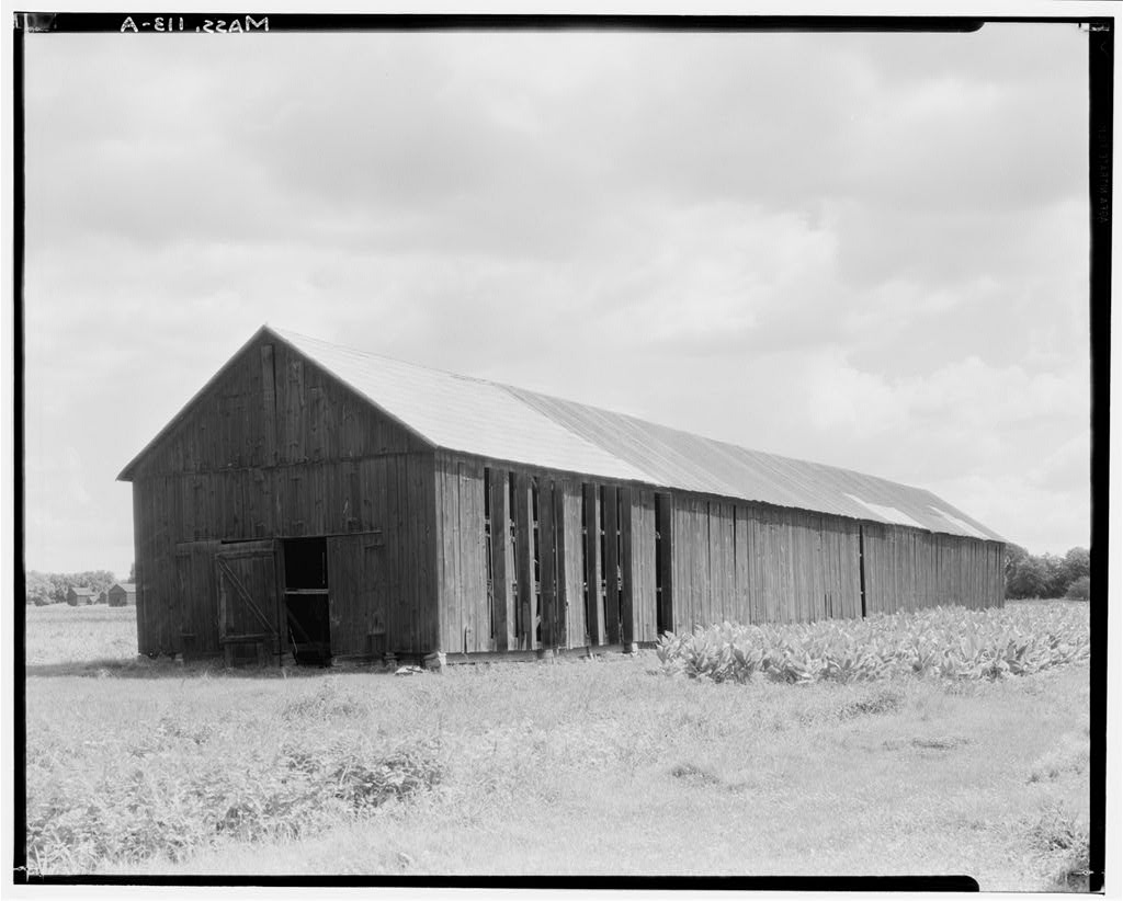 Tobacco Barns, Old Hadley Street, Hadley, Hampshire County, MA, photograph filed with the federal survey