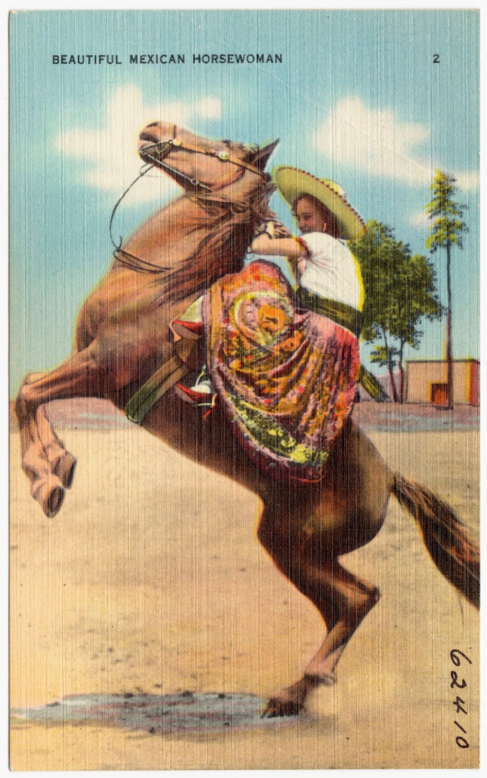 Beautiful Mexican horsewoman, Boston Public Library - undated