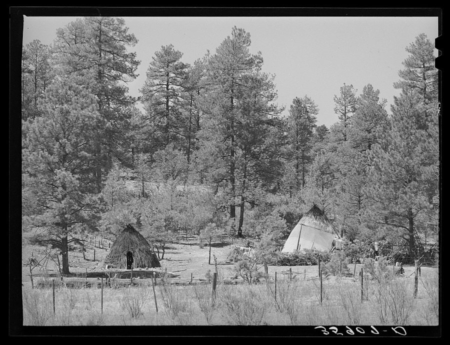 Wickiups of the Apache Indians who tend small fields of corn, squash and grass in the Apache National Forest. Navajo County, Arizona