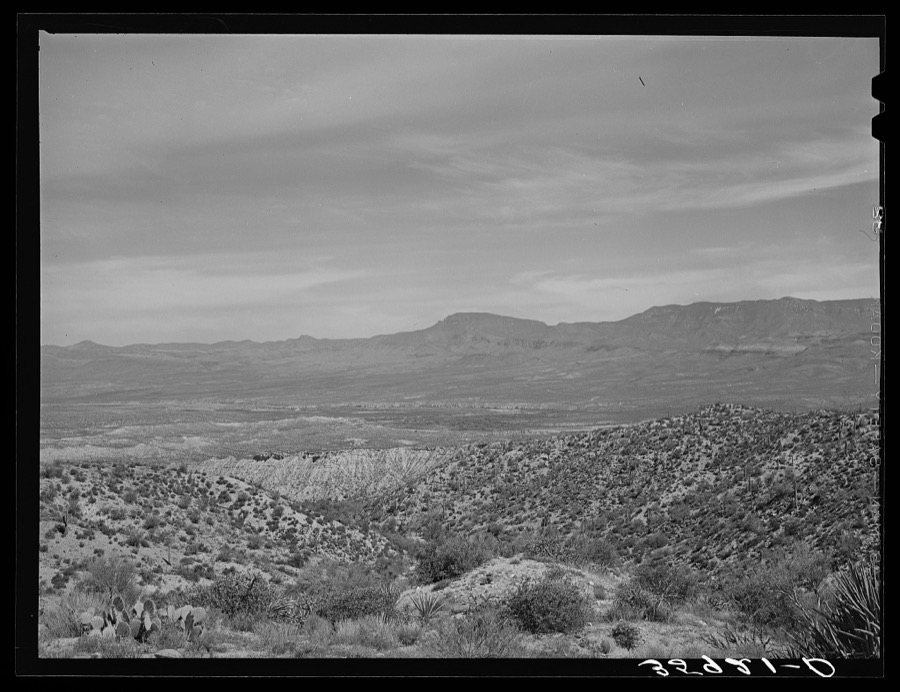 Desert scene along the Apache Trail. Gila County, Arizona