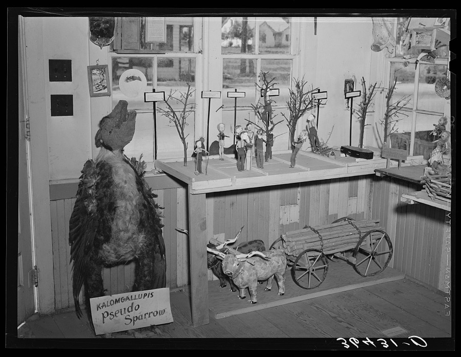 Sequence story of the Old Apple Tree and other work of Homer Tate. Safford, Arizona