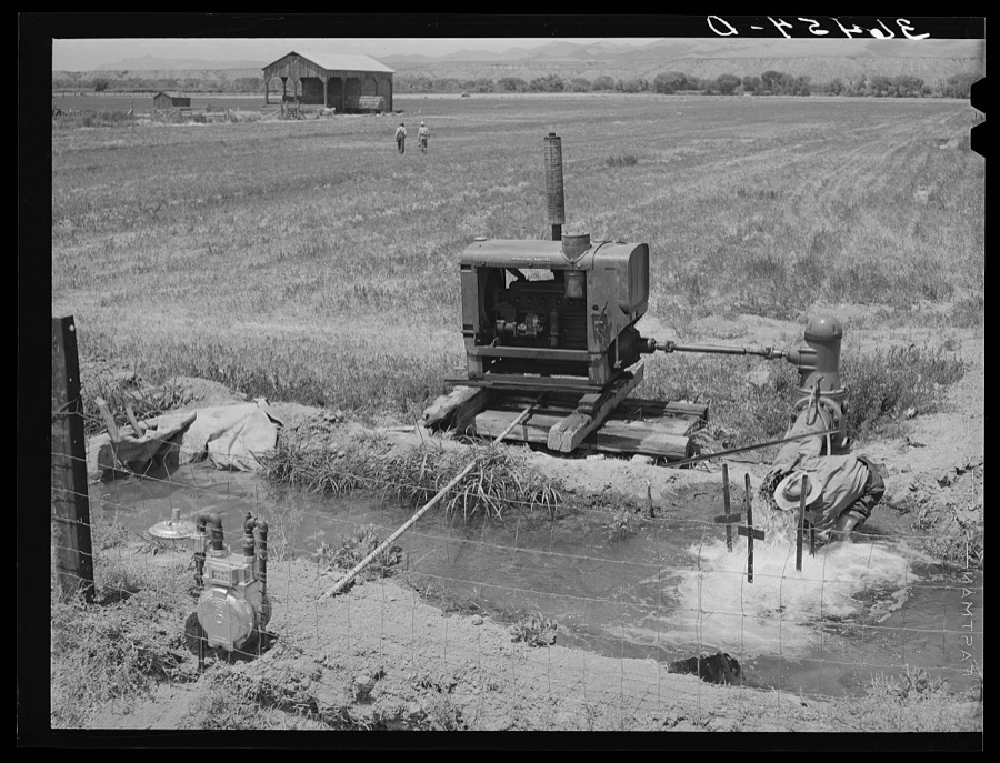 Solomonsville, Arizona. Crops here are cotton, alfalfa, corn and small grains
