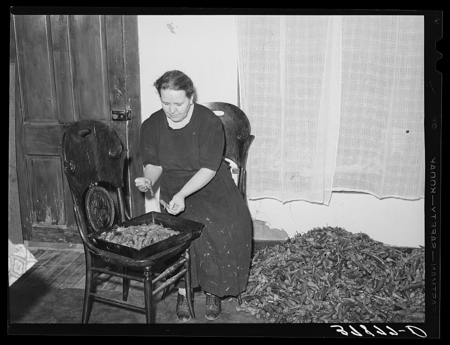 Woman of Spanish extraction picking over chili peppers before she hangs them up to dry. Concho, Arizona. Chili peppers are one of the main cash crops