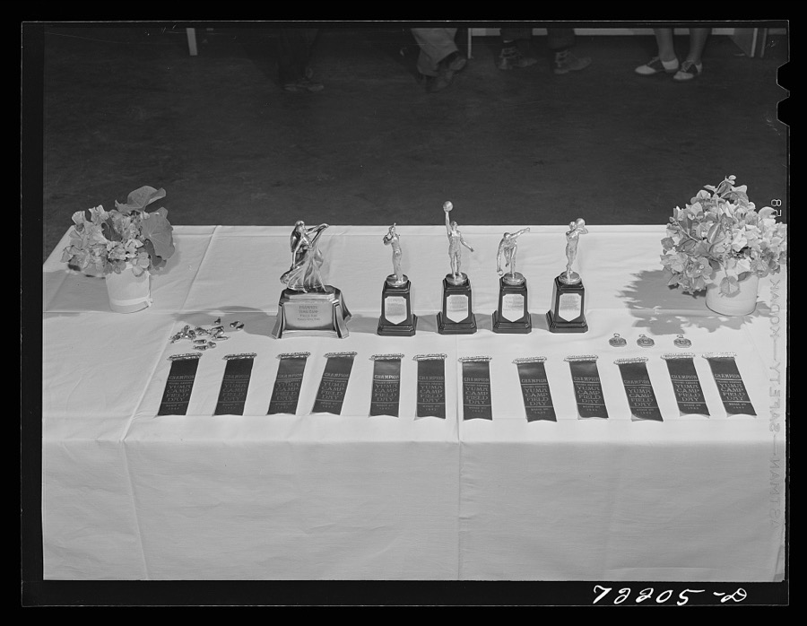 Medals and ribbons to be rewarded to competitors at the second annual field day  at the FSA (Farm Security Administration) farm workers' community. Yuma, Arizona