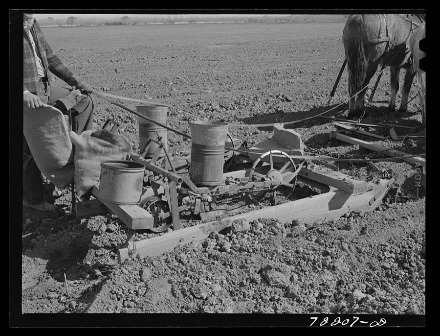 Planter. Yuma County, Arizona
