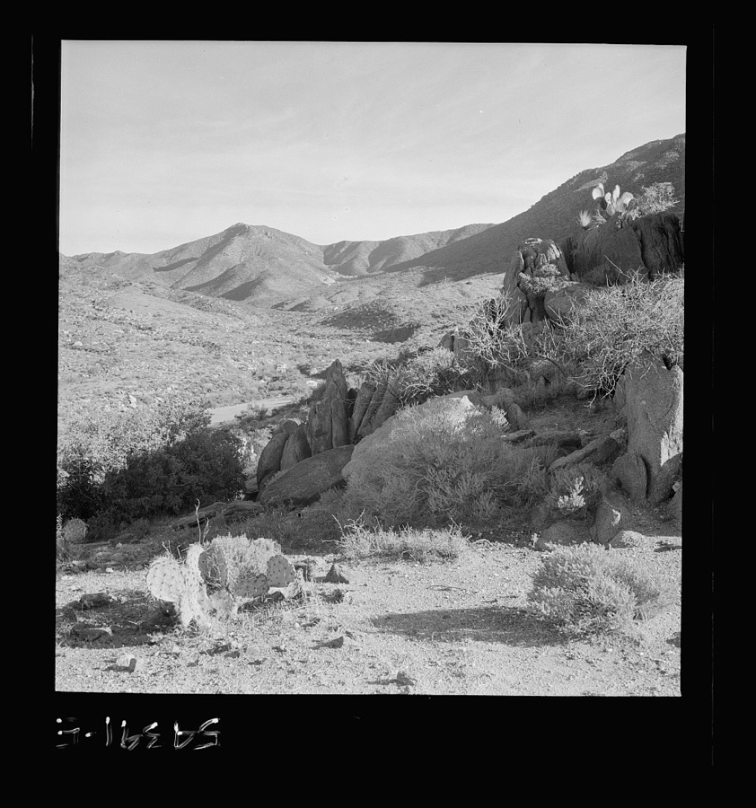 Kingman (vicinity), Arizona. A general view of the desert mountain type of country in which tungsten ore is mined by the Boriana mining company. Cacti and sage brush, shown here, represent the only vegetation in the scene