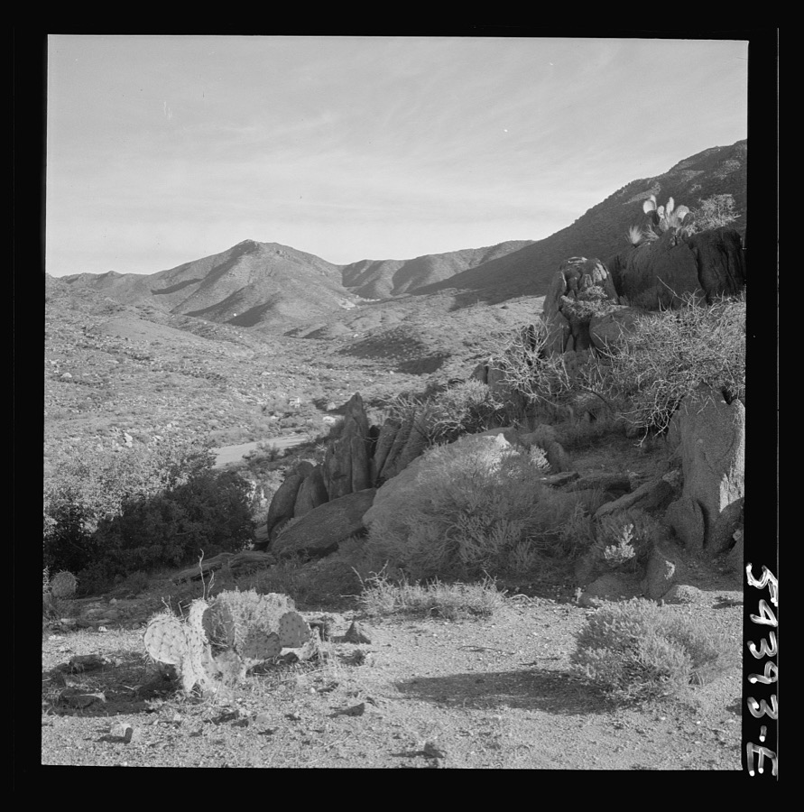 Kingman (vicinity), Arizona. A general view of the desert mountain type of country in which tungsten ore is mined by the Boriana mining company. Cacti and sage brush, shown here, represent the only vegetation in the scene