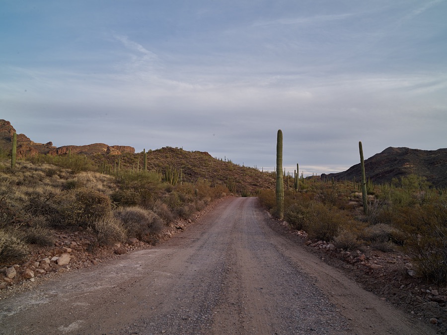 Scene at the Organ Pipe Cactus National Monument, a 517-square-mile reserve that shares a border between Arizona's Yuma County and the Mexican state of Sonora
