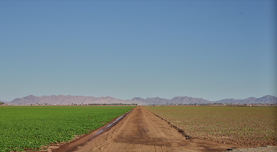 Fertile fields (thanks to irrigation) produce bountiful yields throughout the surrounding desert outside Yuma in the far-southwest corner of Arizona, close to both Mexico and California. More than 175 crops are grown year-round in Yuma County, which is regarded as the winter lettuce capital of the world, supplying an astonishing 90 percent of the nation's leafy vegetables between November and March