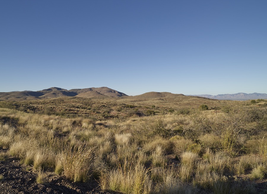 Thick grassland in Greenlee County, near the New Mexico border in Arizona