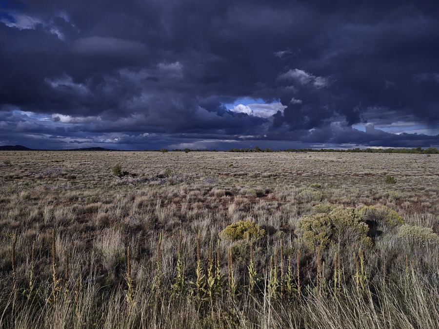 Scene within the highland and high-desert terrain of northern Arizona, above the city of Flagstaff