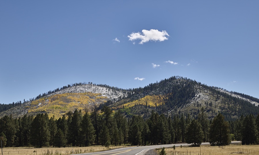Scene within the highland and high-desert terrain of northern Arizona, above the city of Flagstaff