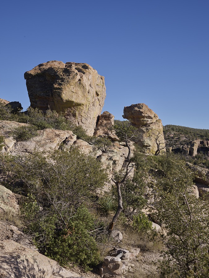 Rock formations at Chiricahua National Monument, a National Park Service unit in Cochise County, Arizona, that includes balanced rocks and hoodoos, thin spires of rock that protrude from the bottom of an arid badland