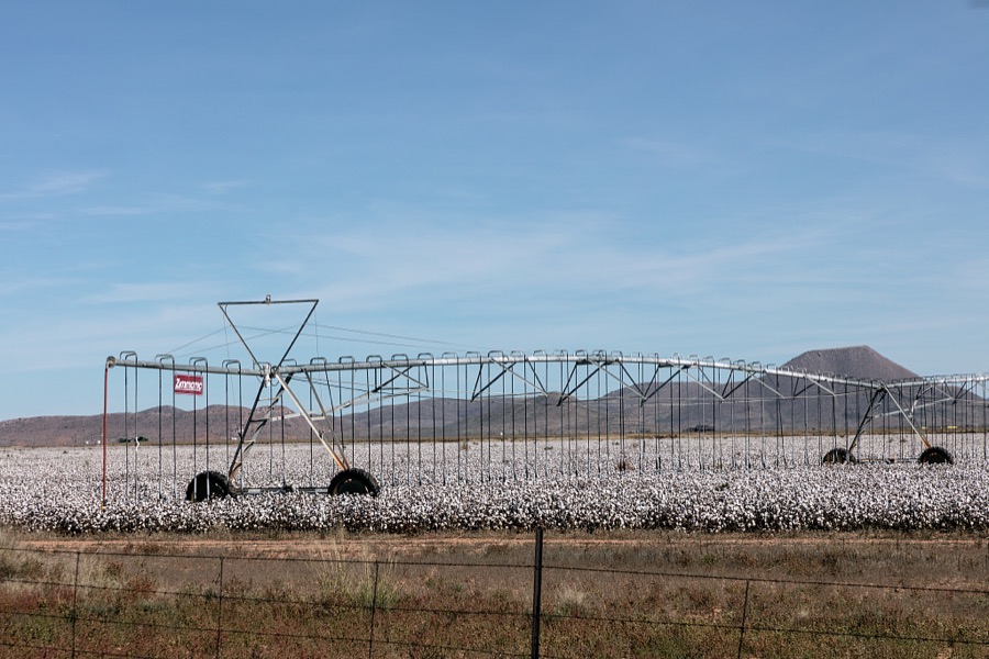 An irrigation "crawler" in a cotton field near Elfrida in southeastern Arizona's Cochise County