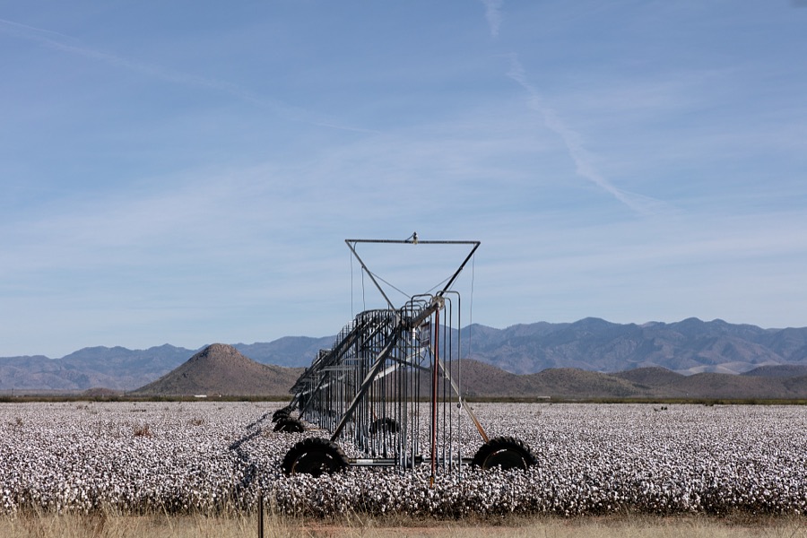 An irrigation "crawler" in a cotton field near Elfrida in southeastern Arizona's Cochise County