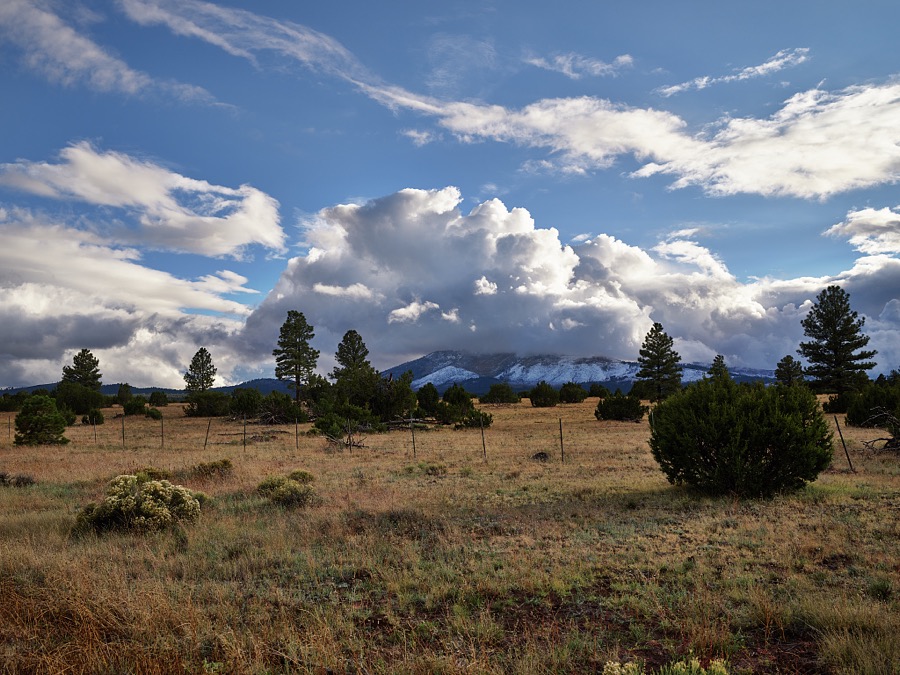 Scene in Coconino County, Arizona, along the road between Flagstaff and Grand Canyon National Park