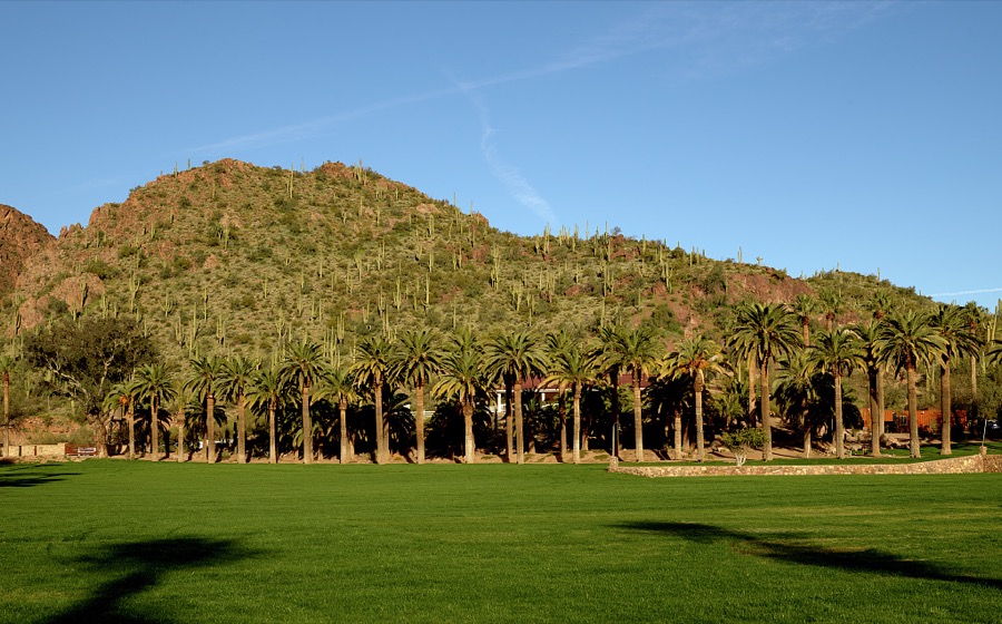 Castle Hot Springs resort was completed in 1896 by the brother of the Arizona Governor Oakes Murphy, and the newly renamed "Castle Hot Springs" was heavily advertised to potential clients. During the resort's heyday in the 1920s it was visited by celebrities such as Zane Grey, as well as famous families such as the Rockefellers. Castle Hot Springs has been remodeled and new owners have extensively remodeled and added to the property, adding 12 spring bungalows, with hot spring fed tubs, and 17 sky-view cabins. The resort reopened to visitors in February of 2019