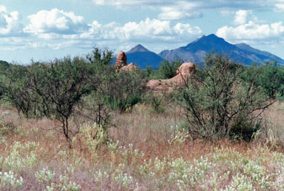 Photograph of Guevavi Mission
