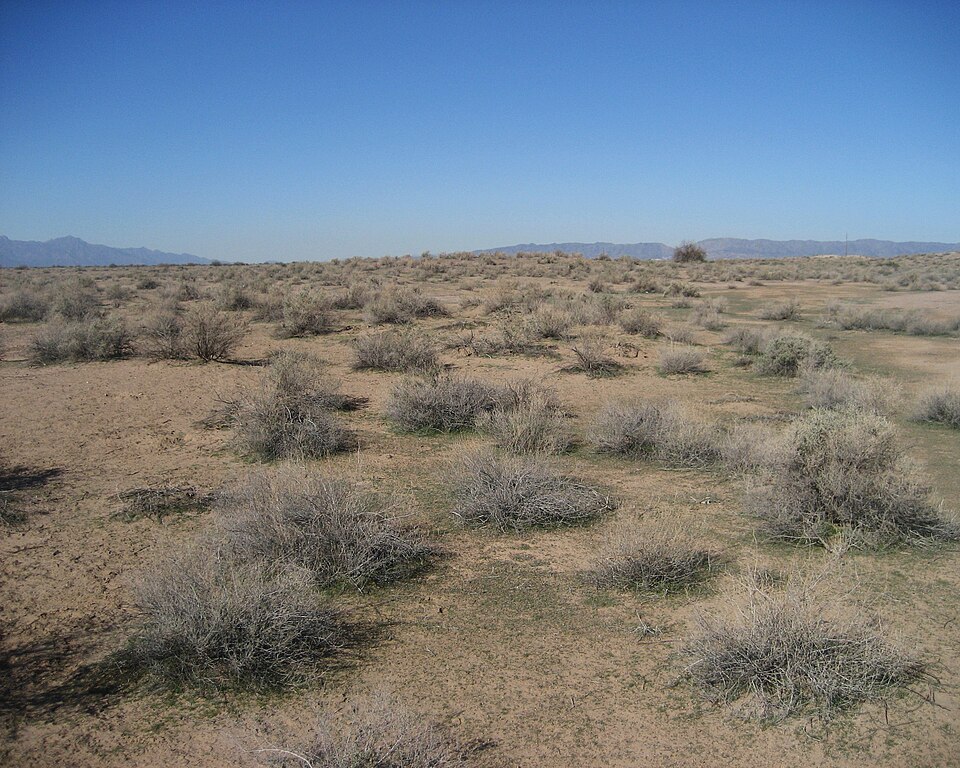 Photograph of Hohokam Pima National Monument