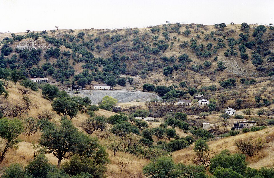 Photograph of Ruby