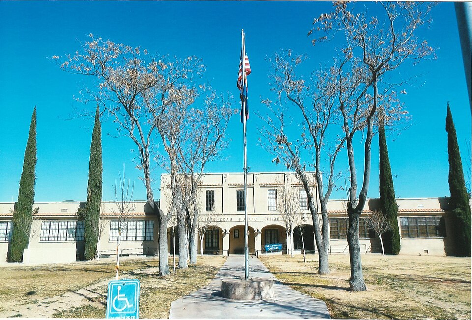 Photograph of Clemenceau Public School
