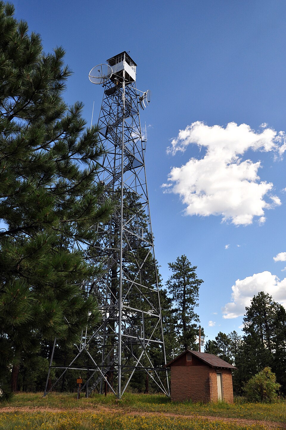 Photograph of Big Springs Lookout Tower