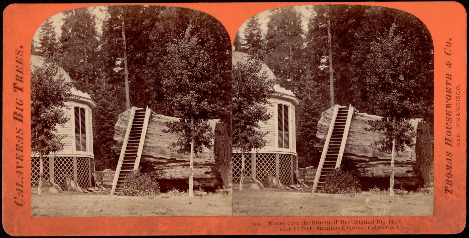 House over the Stump of the Original Big Tree d[?] eter 32 feet, Mammoth Grove, Calaveras C[?], Boston Public Library - undated