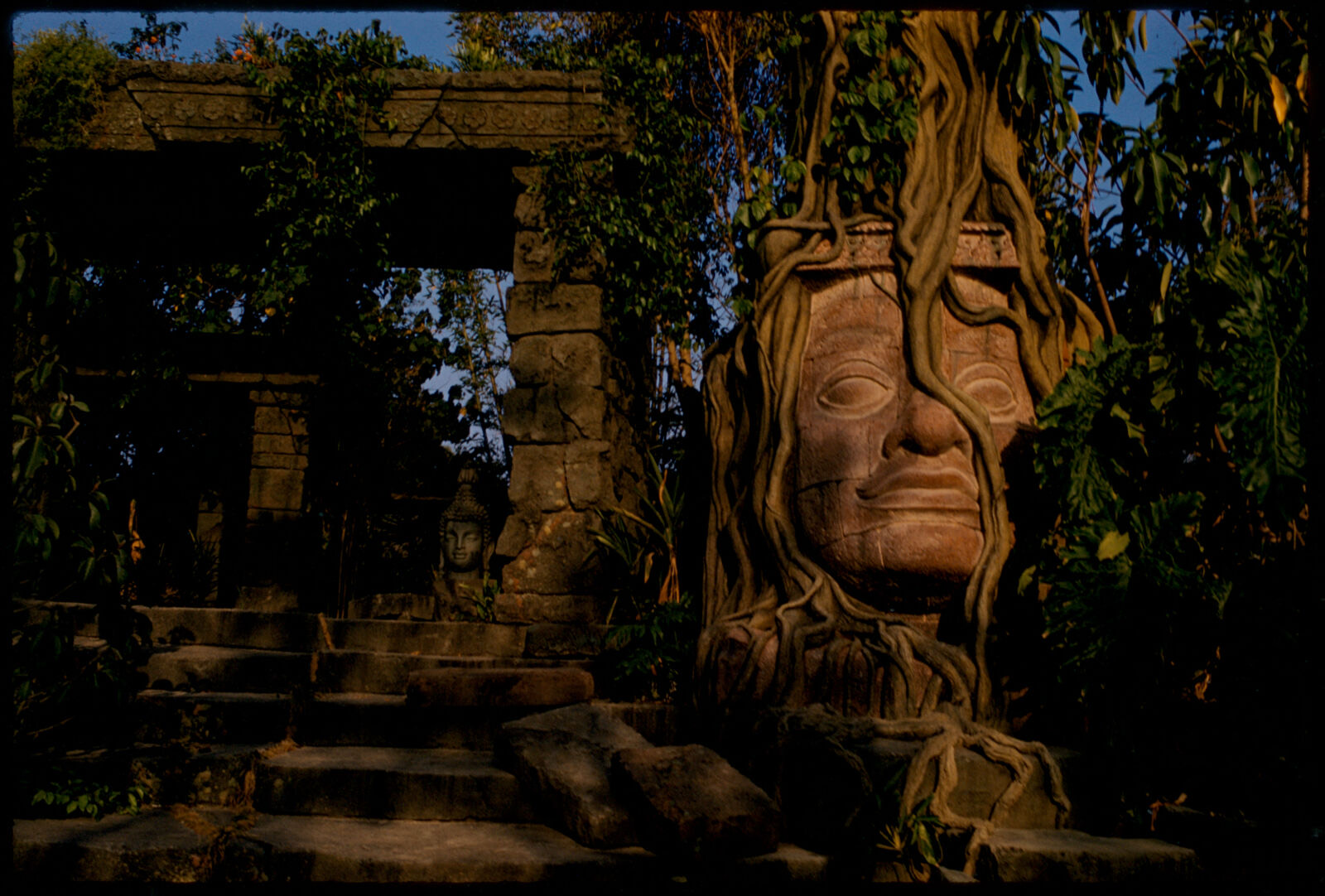 Jungle Cruise, Disneyland, Boston Public Library - undated