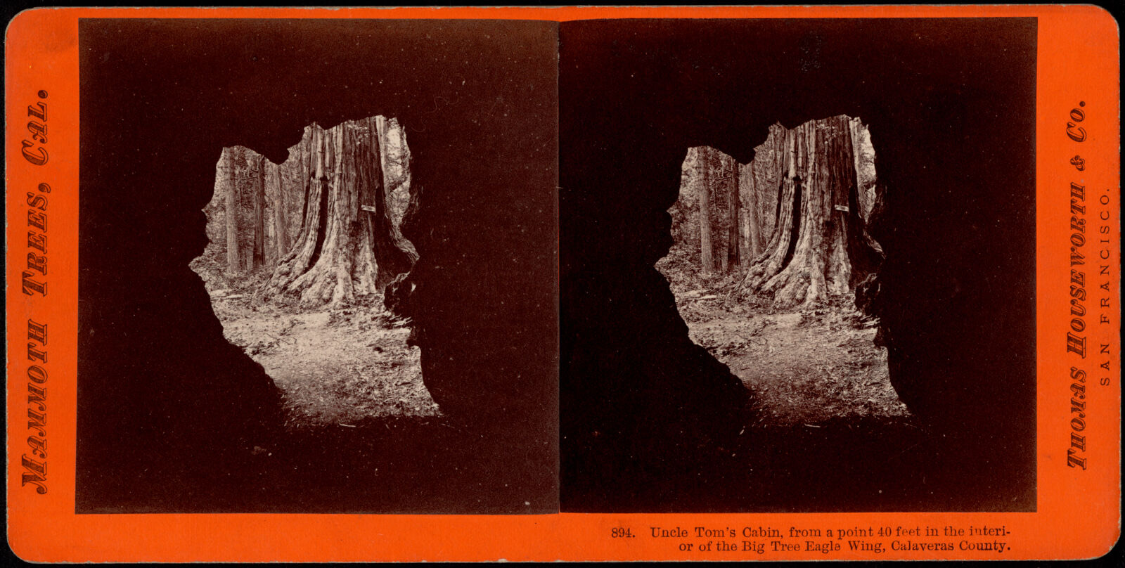 Uncle Tom's Cabin, from a point 40 feet in the interior of the Big Tree Eagle Wing, Calaveras County, Boston Public Library - undated