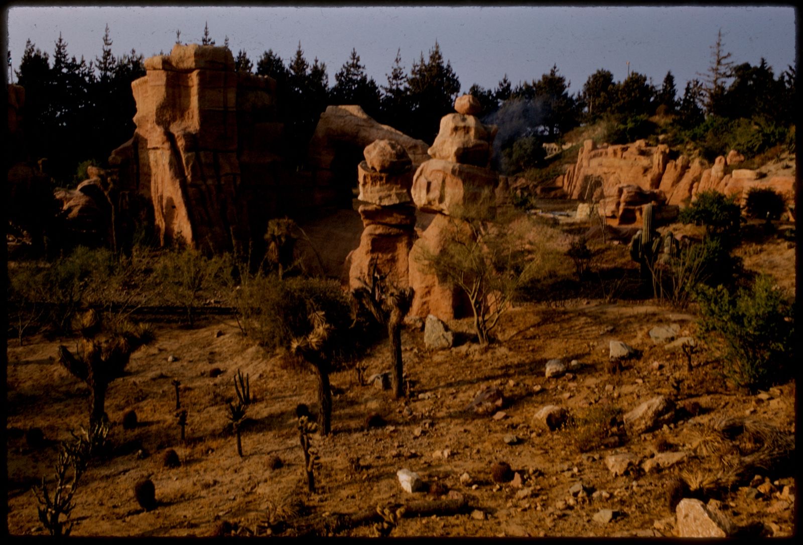 Mine Train Through Nature's Wonderland, Disneyland, Boston Public Library - undated