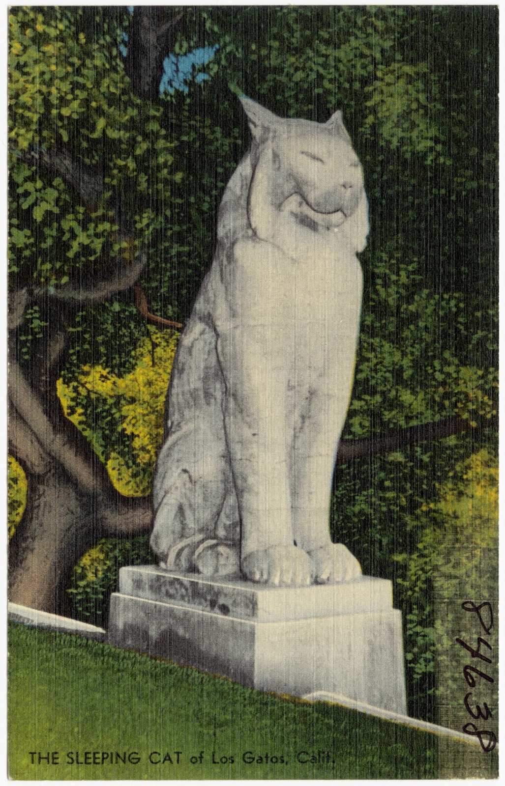 The Sleeping Cat of Los Gatos, Calif., Boston Public Library - undated