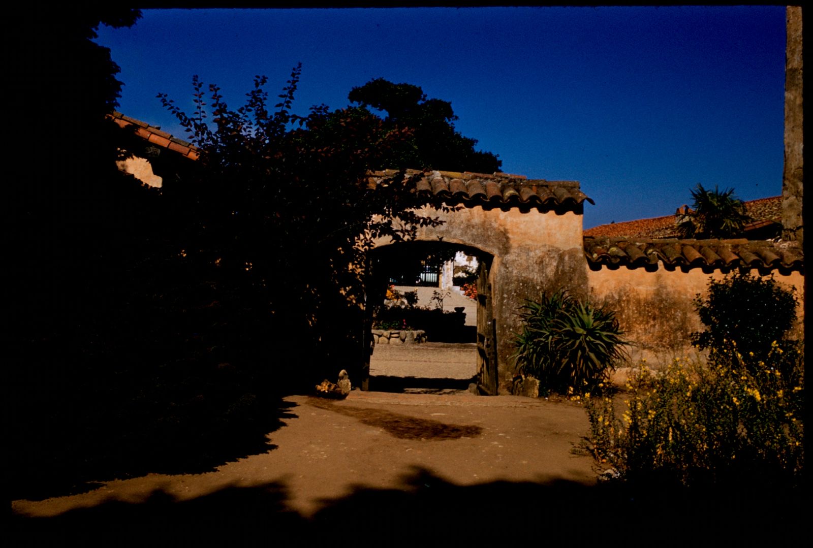 Mission San Carlos Borromeo de Carmelo, Boston Public Library - undated